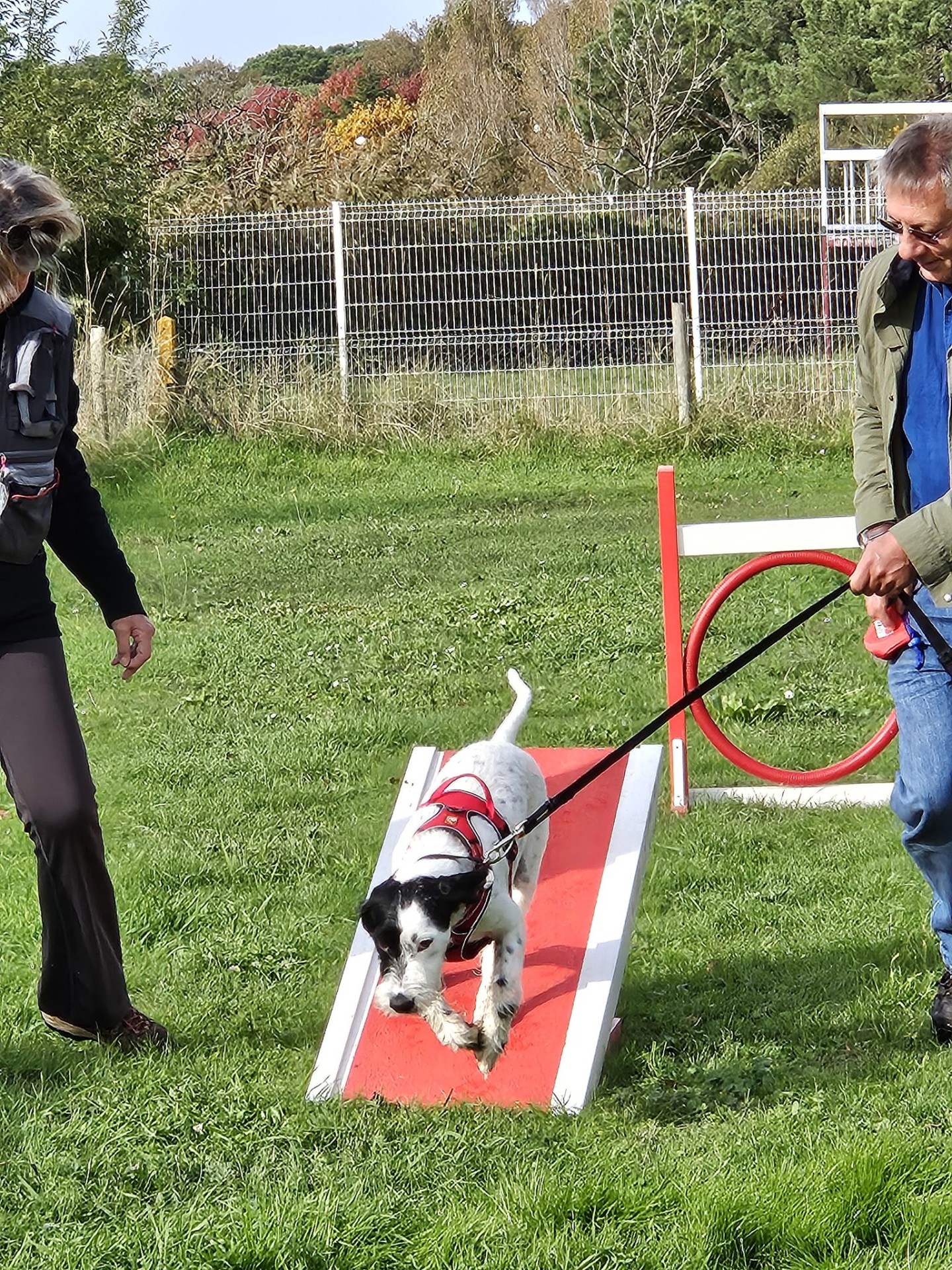 Club Canin Brévinois Ecole des chiots 