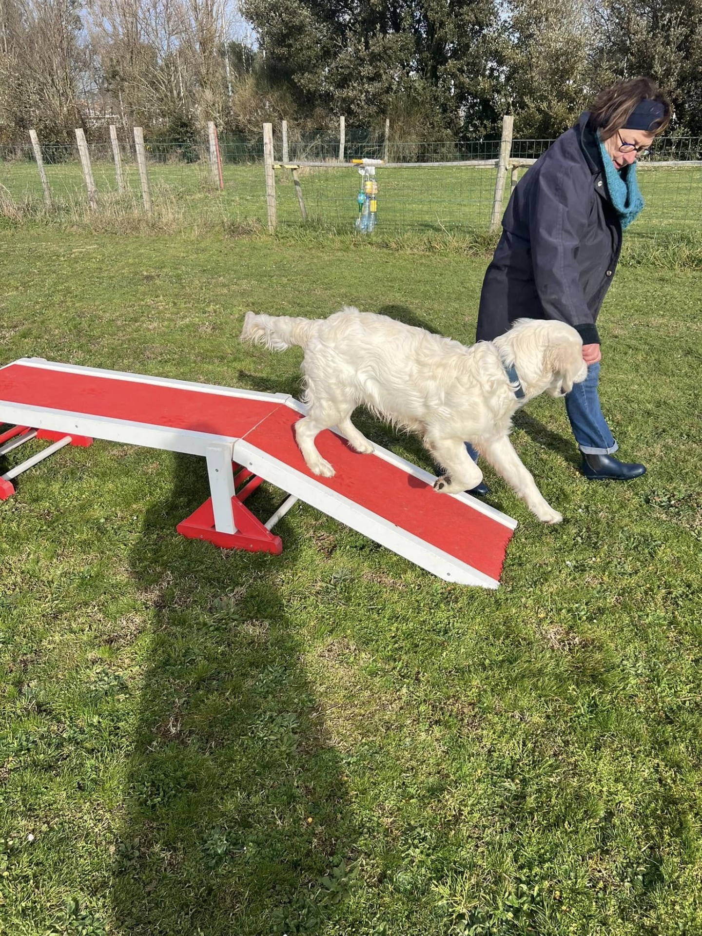 Club Canin Brévinois Ecole des chiots 
