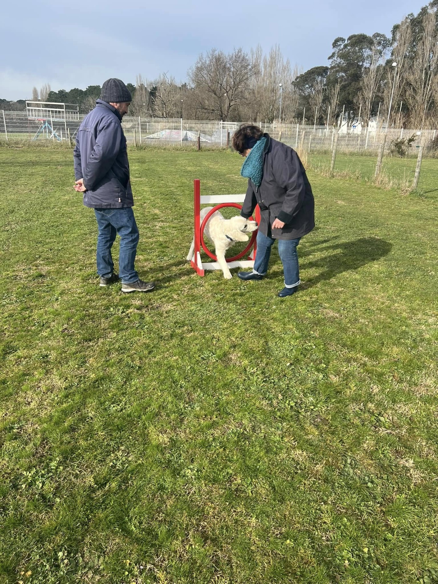 Club Canin Brévinois Ecole des chiots 