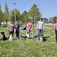  groupe 5 avril 2025