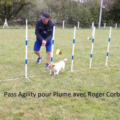 Pass Agility pour Plume à Roger Corbé  1er degré