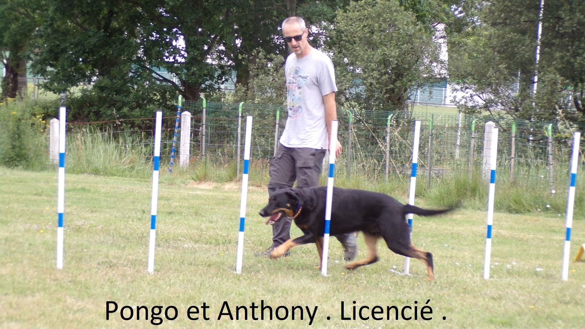 Pongo et Anthony Casteran . 1er degré . 