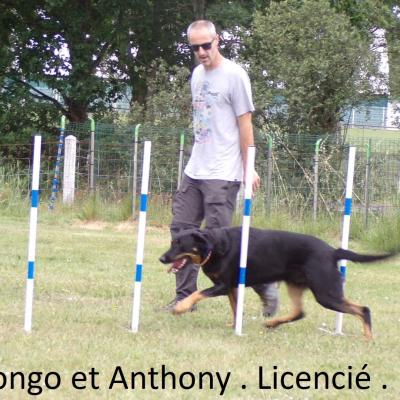 Pongo et Anthony Casteran . 1er degré . 