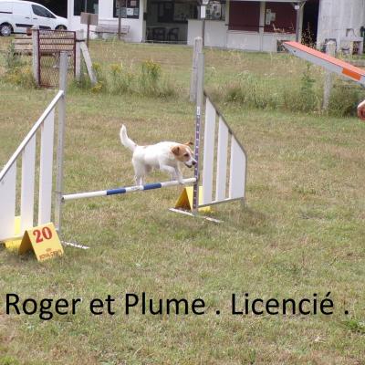 Roger et Plume 