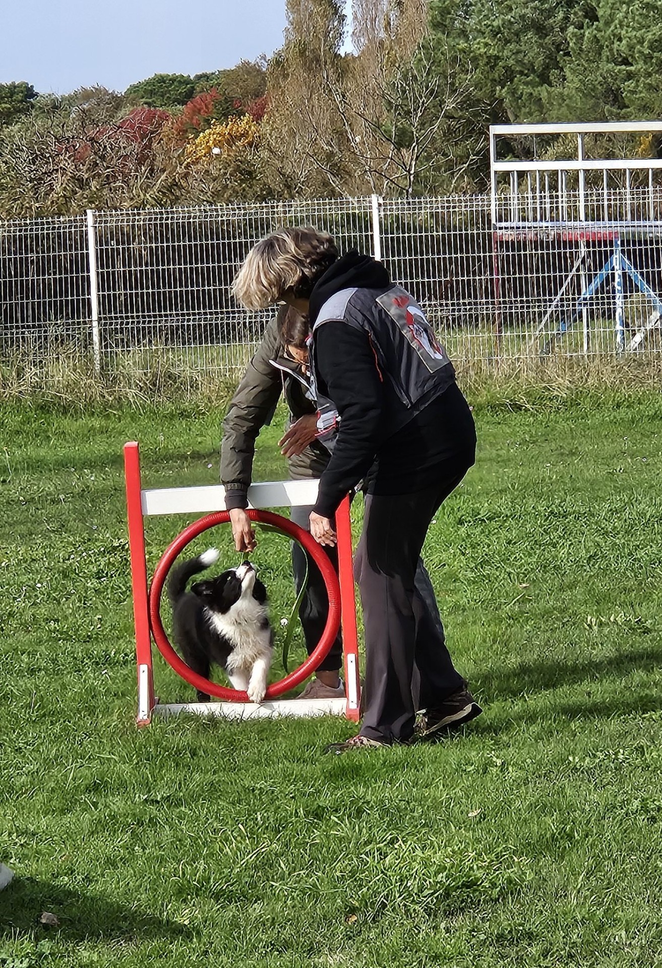Club Canin Brévinois Ecole des chiots 