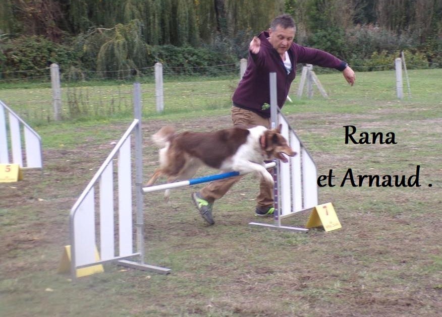 Arnaud et Rana Pass Agility obtenu 