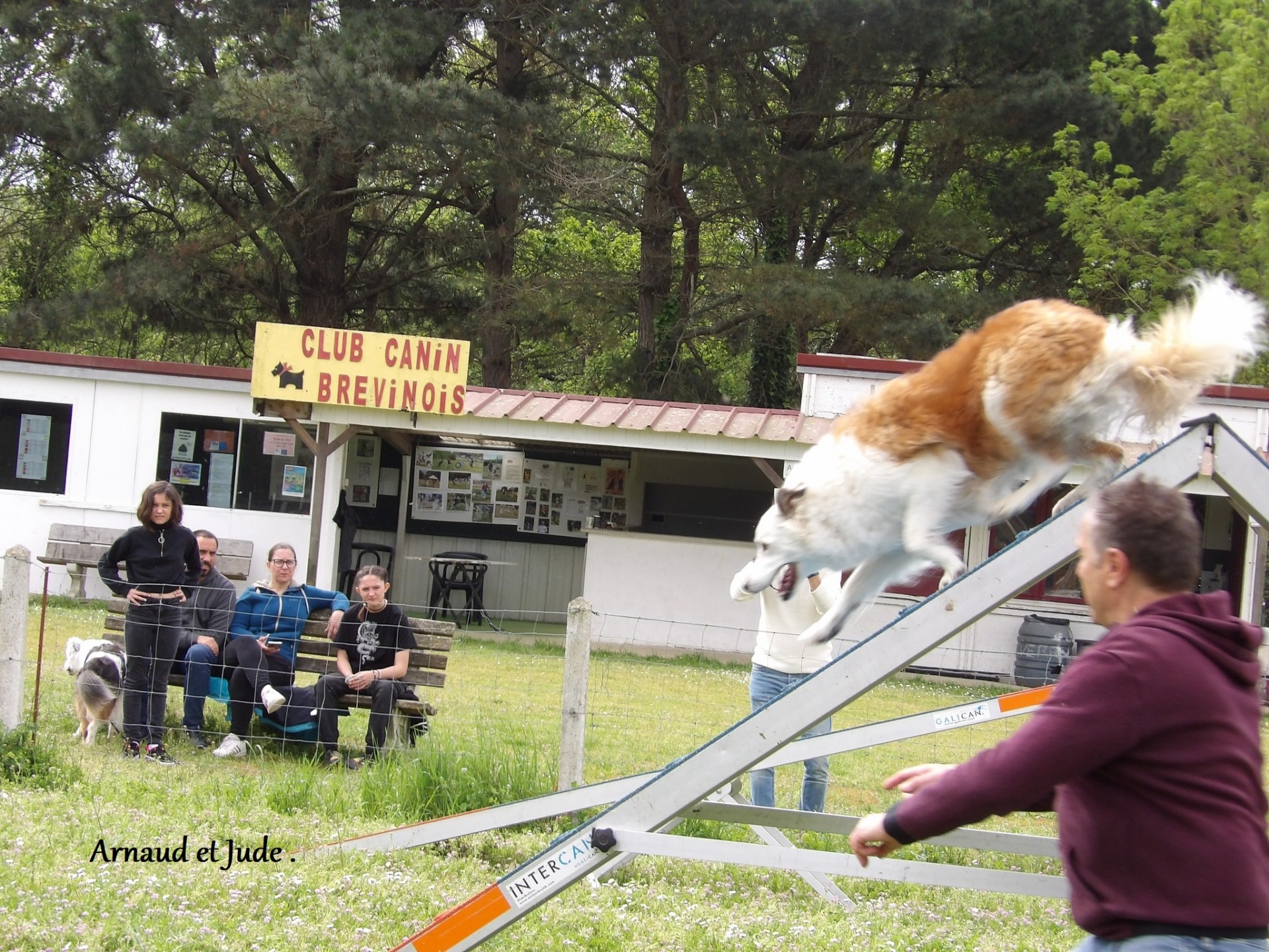 Arnaud et Jude . Pass agility Obtenu