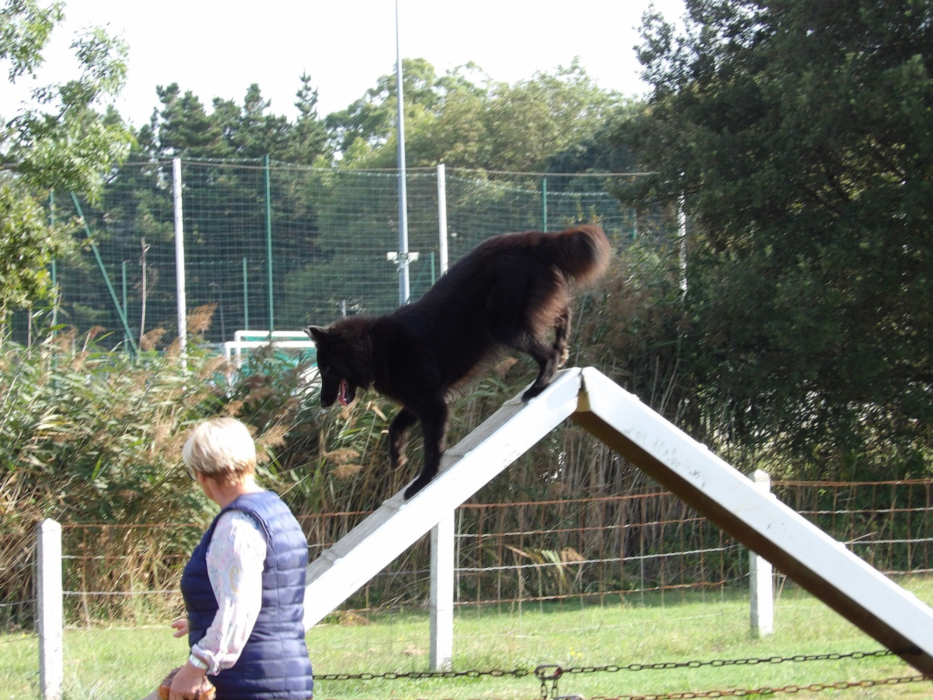 Club Canin Brévinois Thuriel 