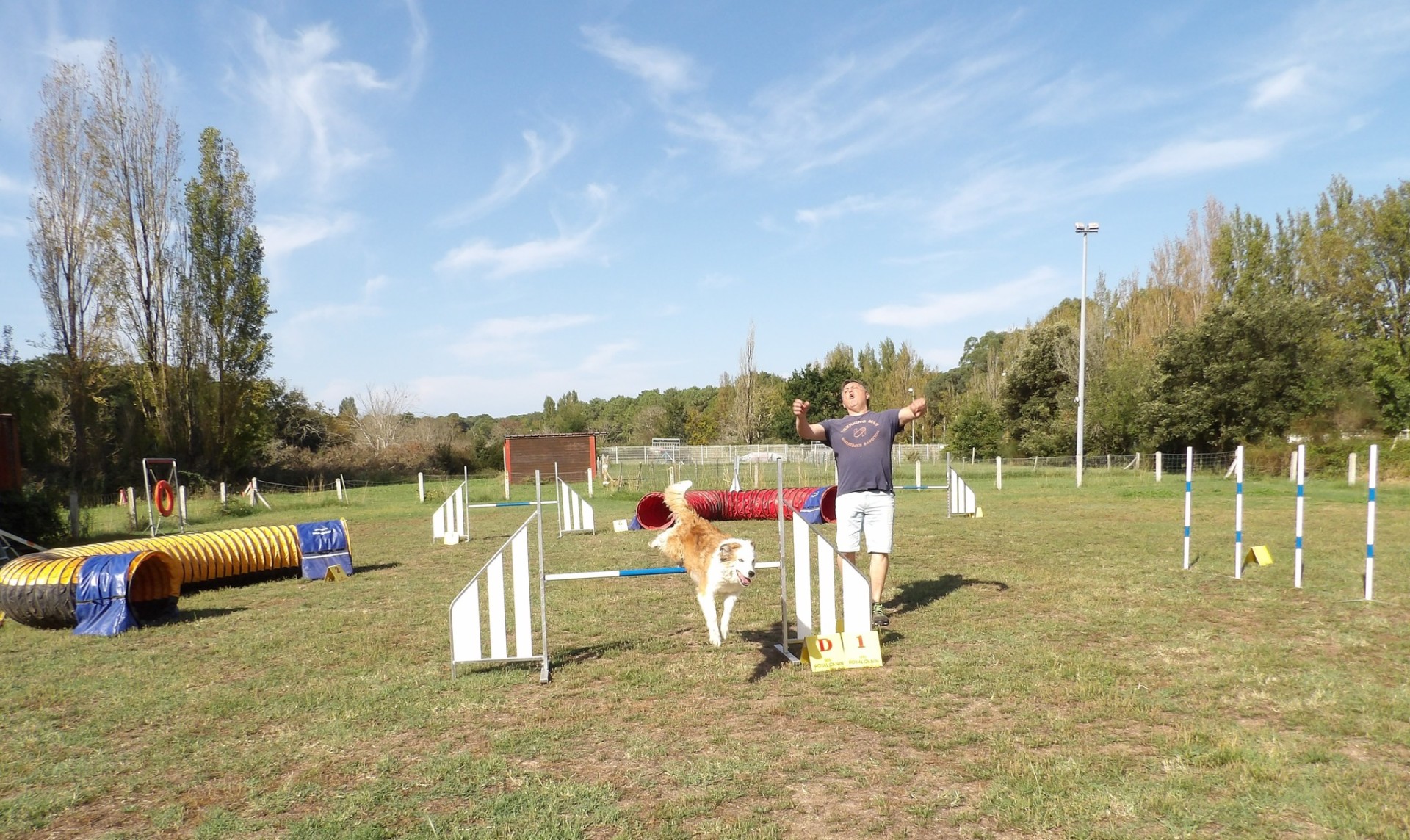 Club Canin Brévinois Jude 