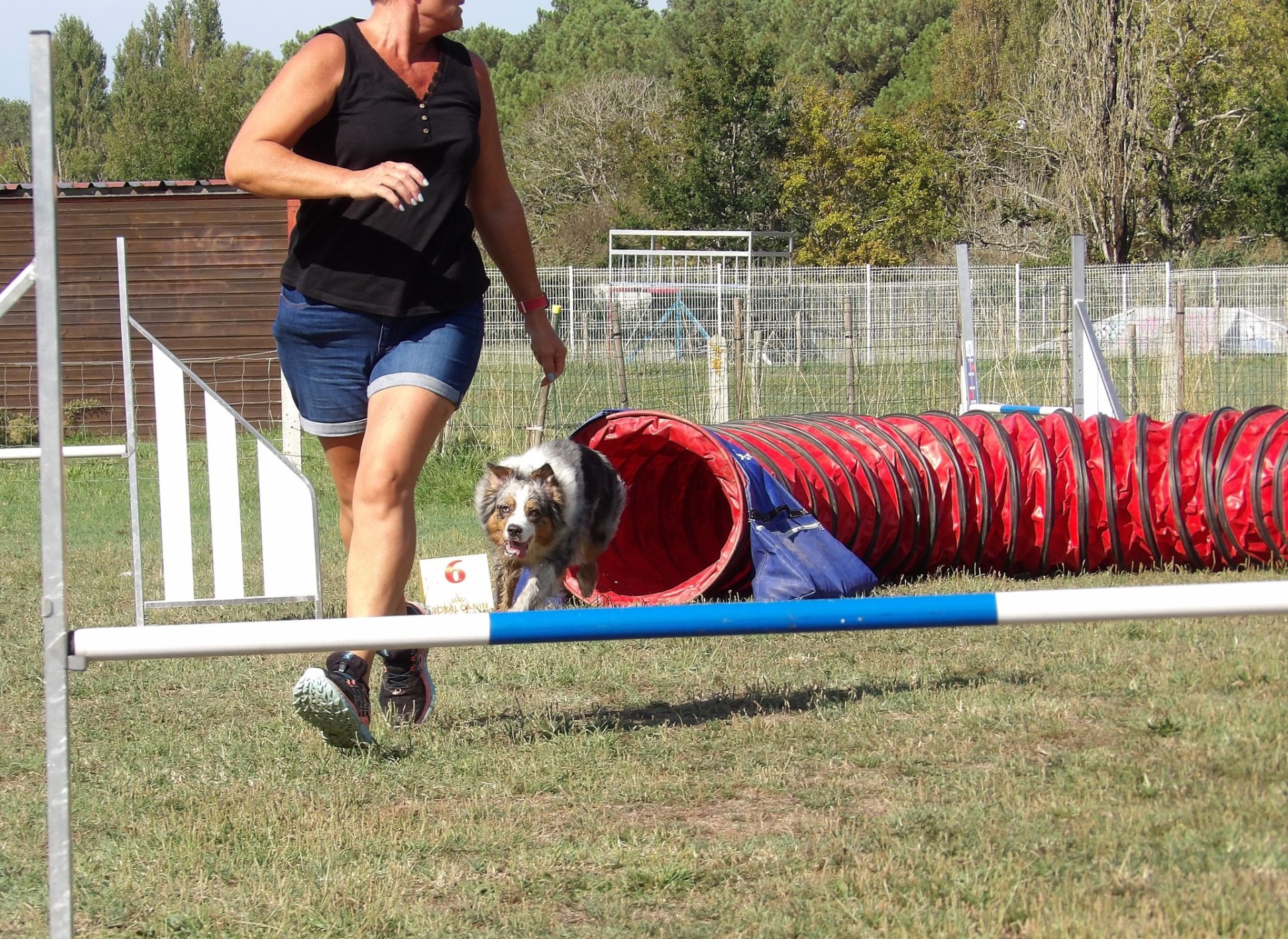 Club Canin Brévinois Schupa 