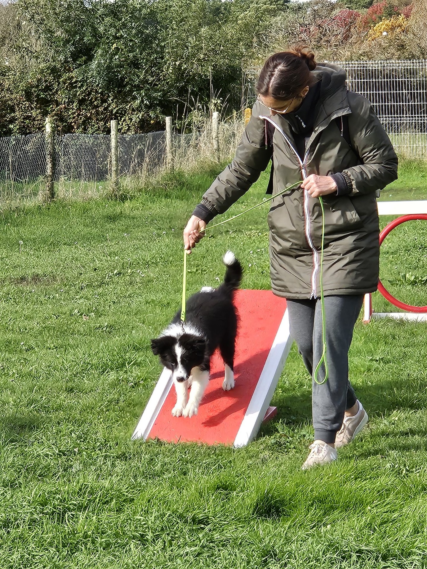 Club Canin Brévinois Ecole des chiots 
