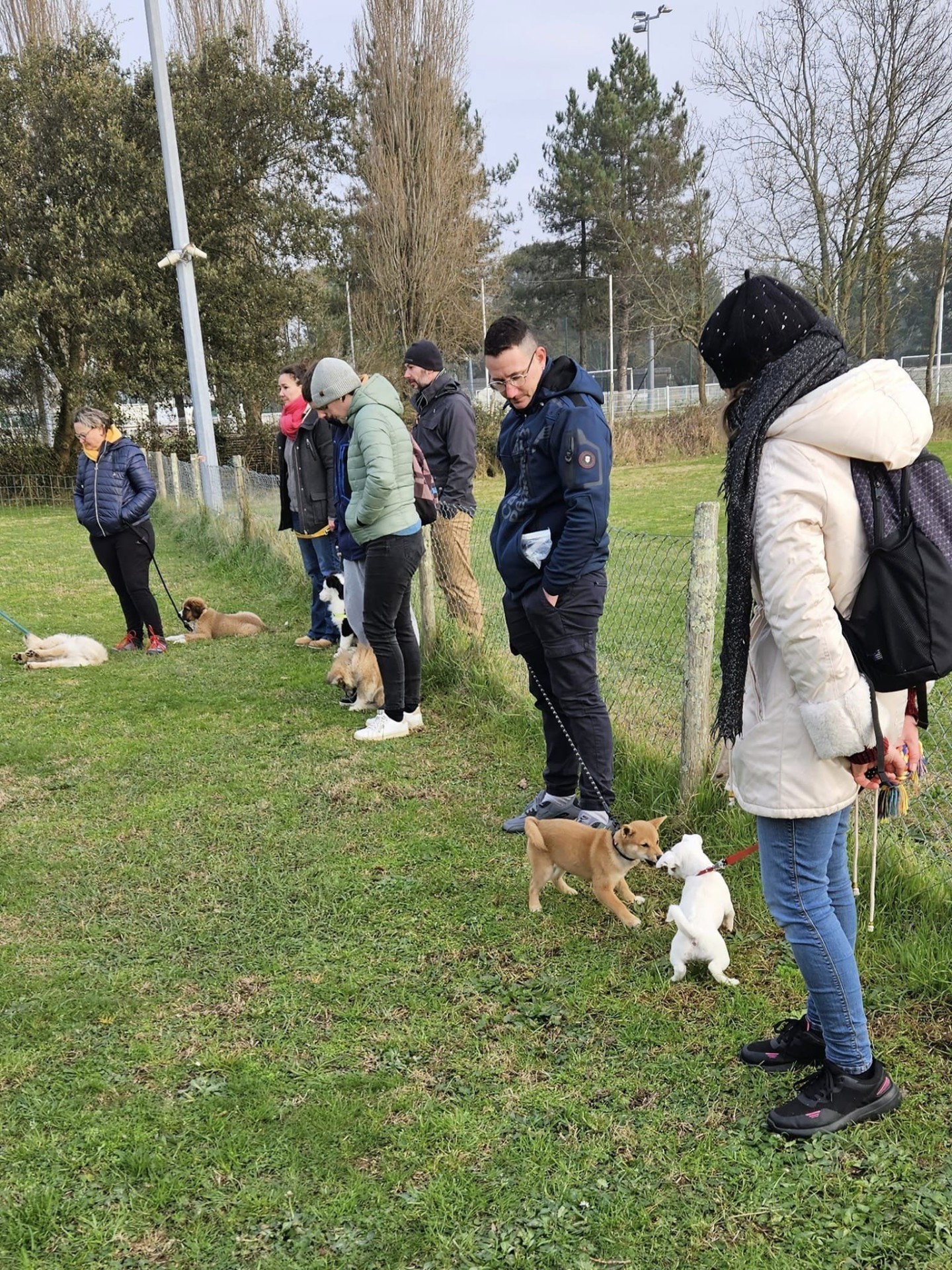 Club Canin Brévinois; La petite classe c'est cool 