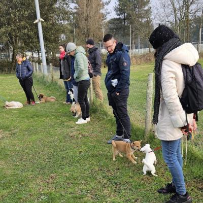 Club Canin Brévinois; La petite classe c'est cool 