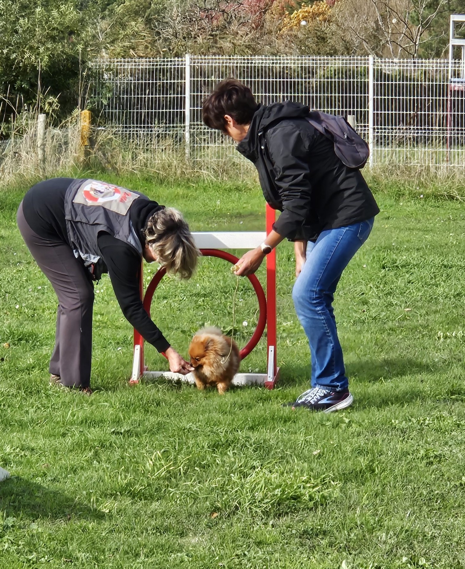 Club Canin Brévinois Ecole des chiots 