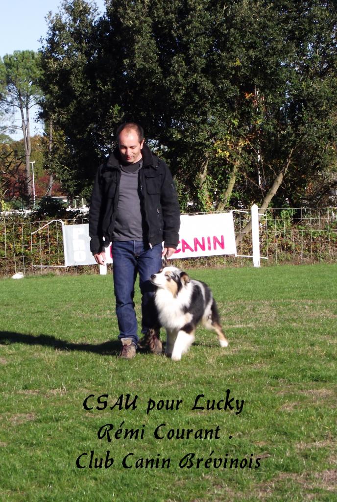 CSAU pour Lucky à Rémi Courant. Novembre 2016