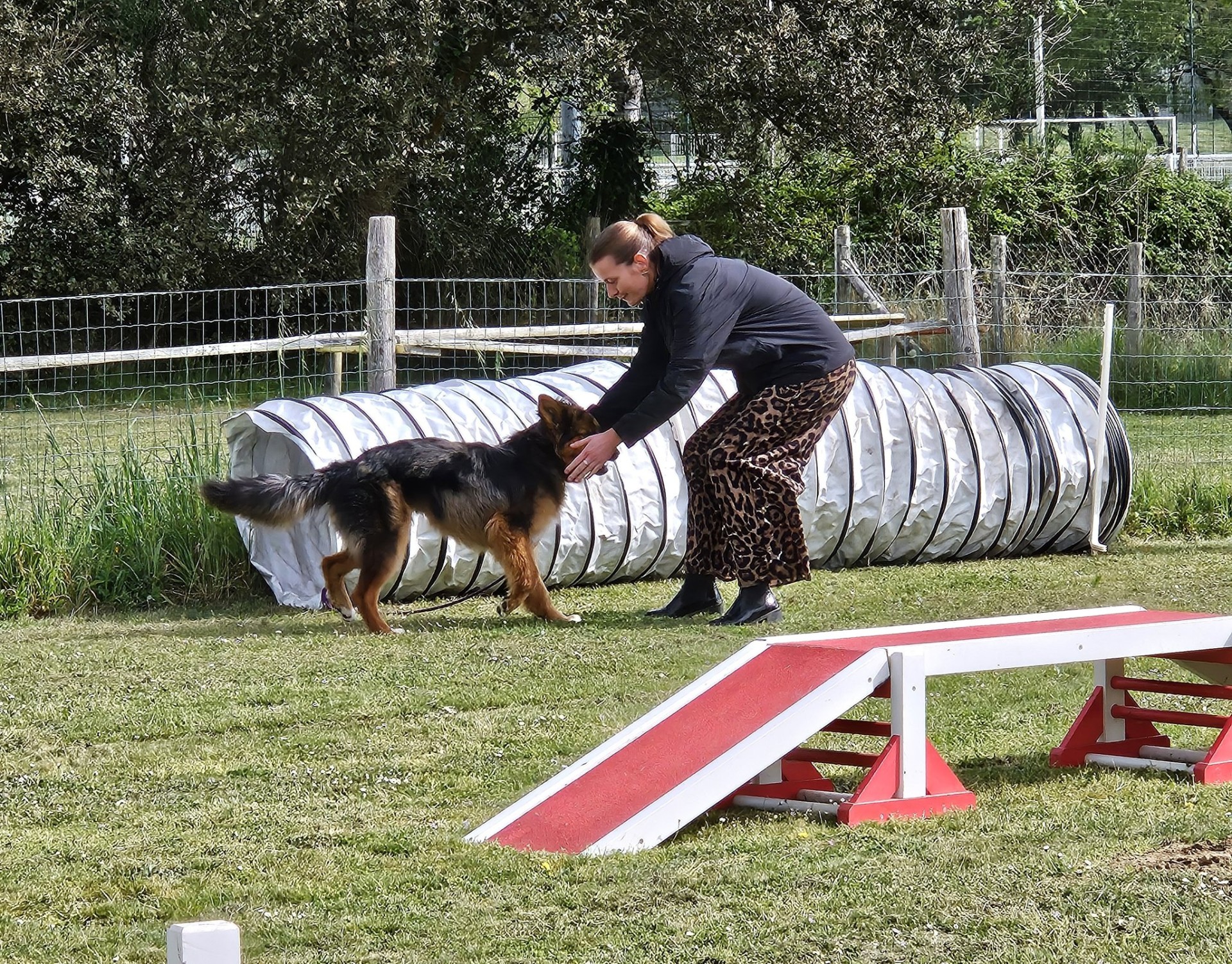 Ecole des chiots avril 2025