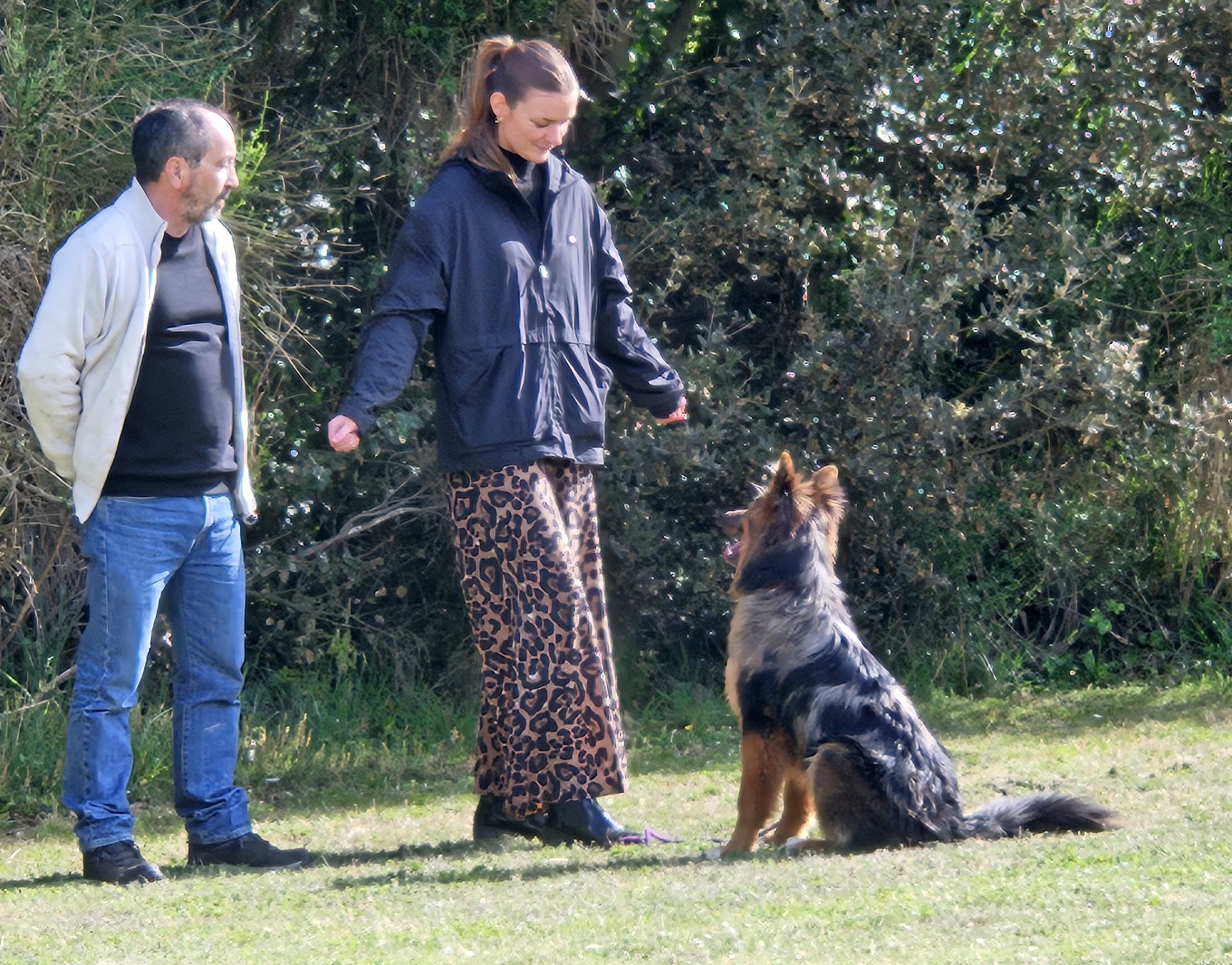 Ecole des chiots 10 avril 2025