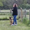 Ecole des chiots 14 avril 2025
