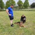 Ecole des chiots 16 avril 2025