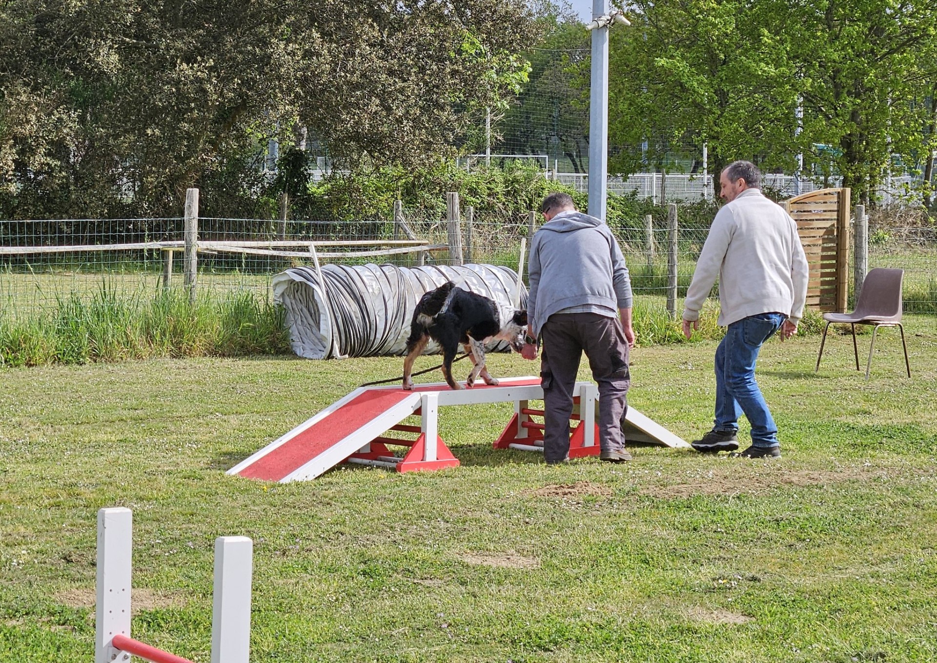 Ecole des chiots 3 avril 2025