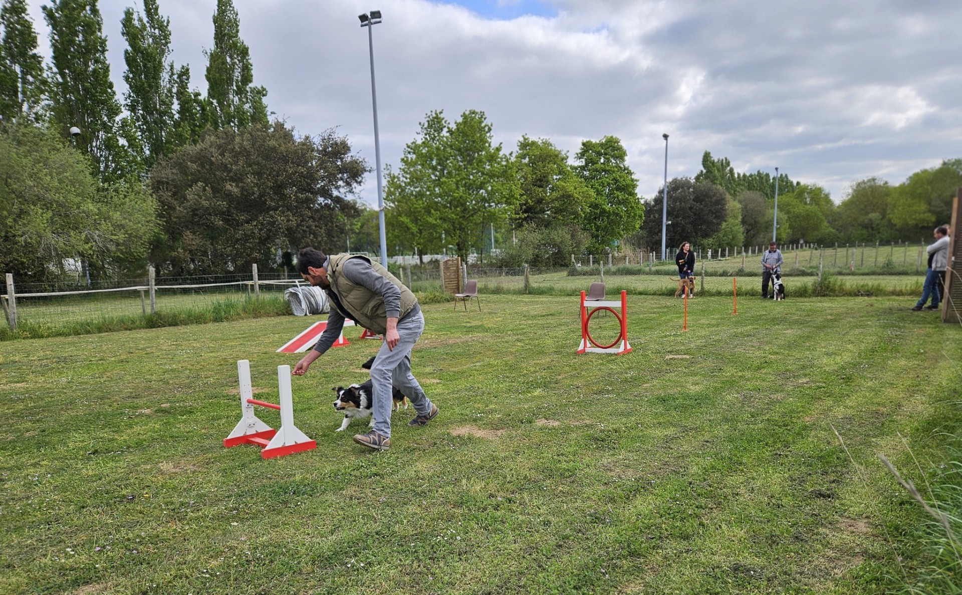 Ecole des chiots 4 avril 2025