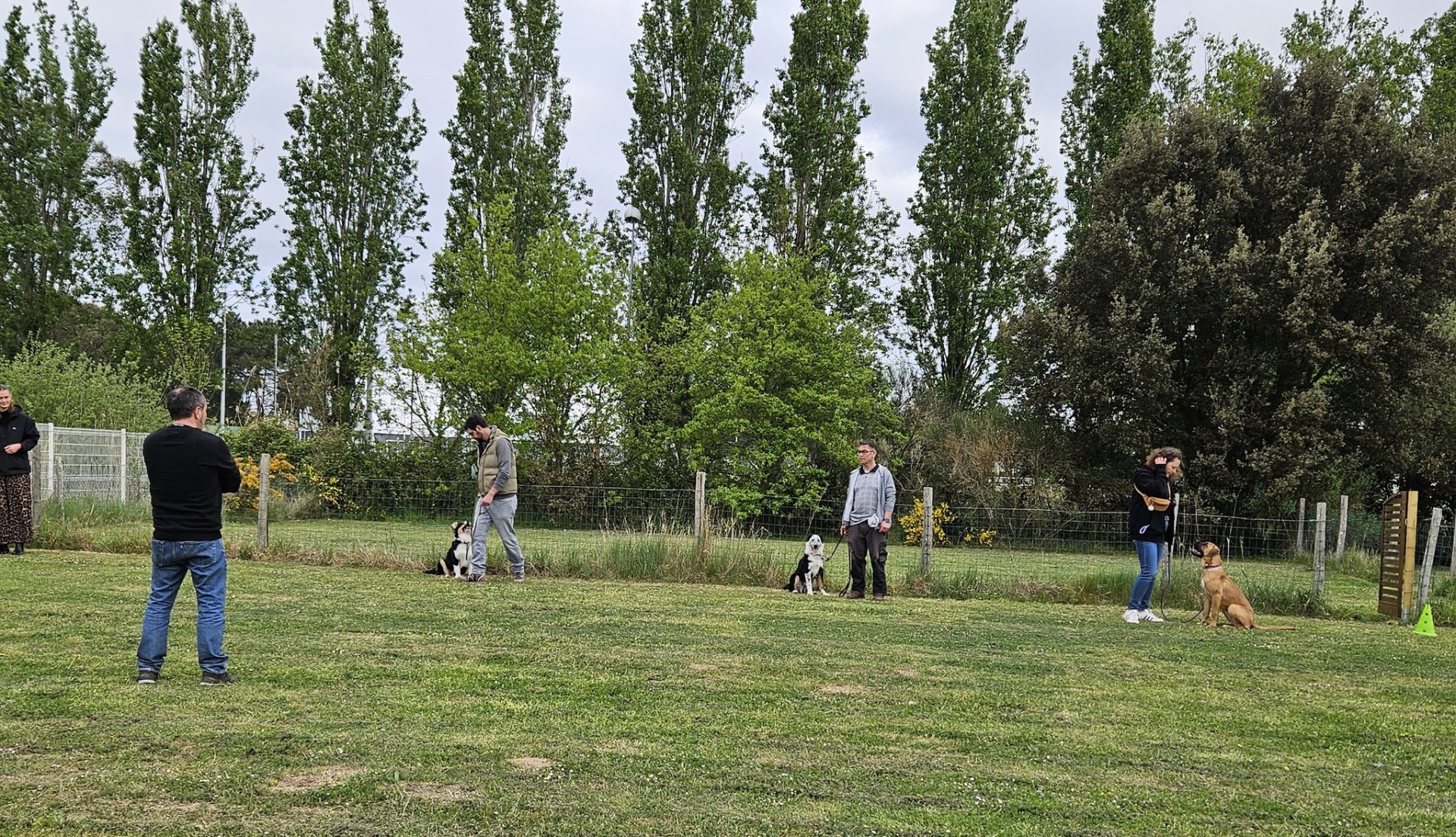 Ecole des chiots 6 avril 2025