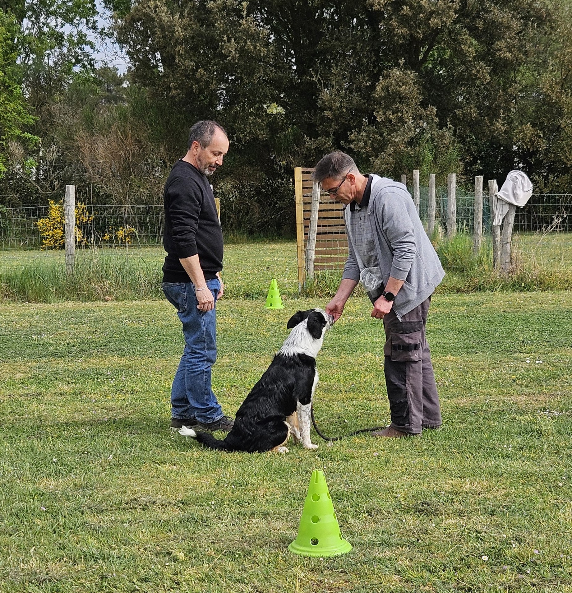 Ecole des chiots 8 avril 2025