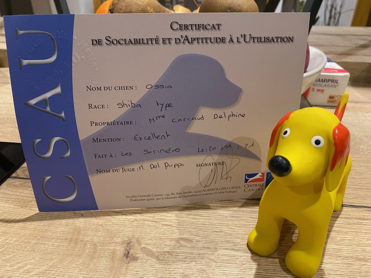 CSAU Excellent Ossia 