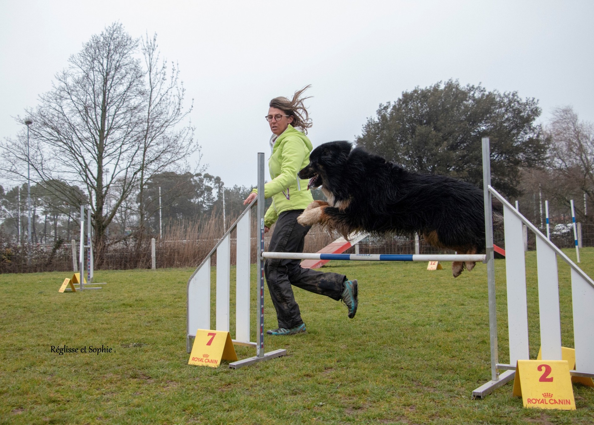 Sophie et Réglisse  Pass Agility obtenu 