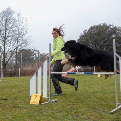 Sophie et Réglisse  Pass Agility obtenu 