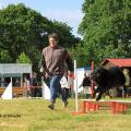 Candy du Pré de L'Aubois . agility 2 Classe 1 obéissance .à Mireille Jégou