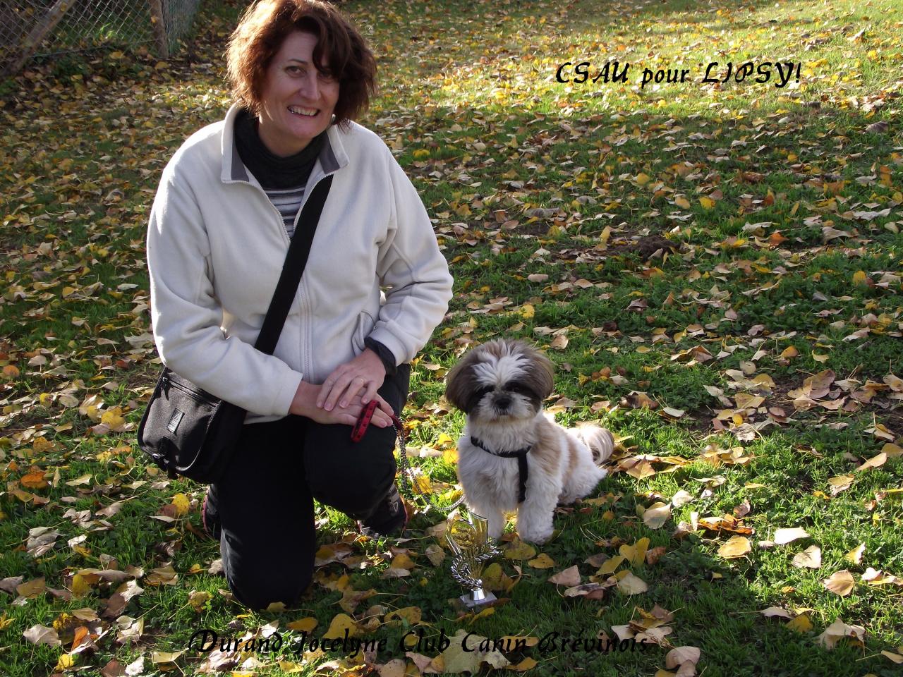 CSAU pour Lipsy   Jocelyne Durand . Novembre 2016