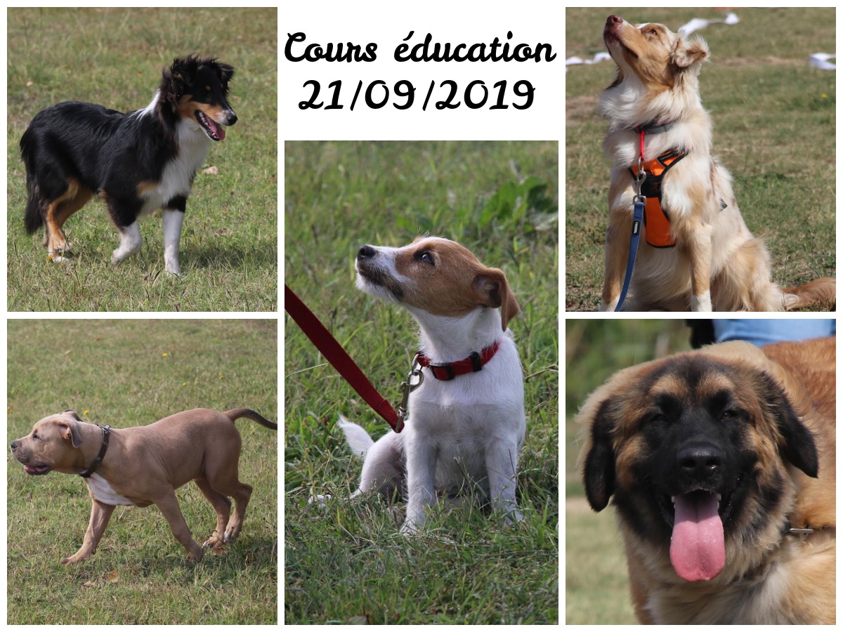 Cours Education 21/09/2019