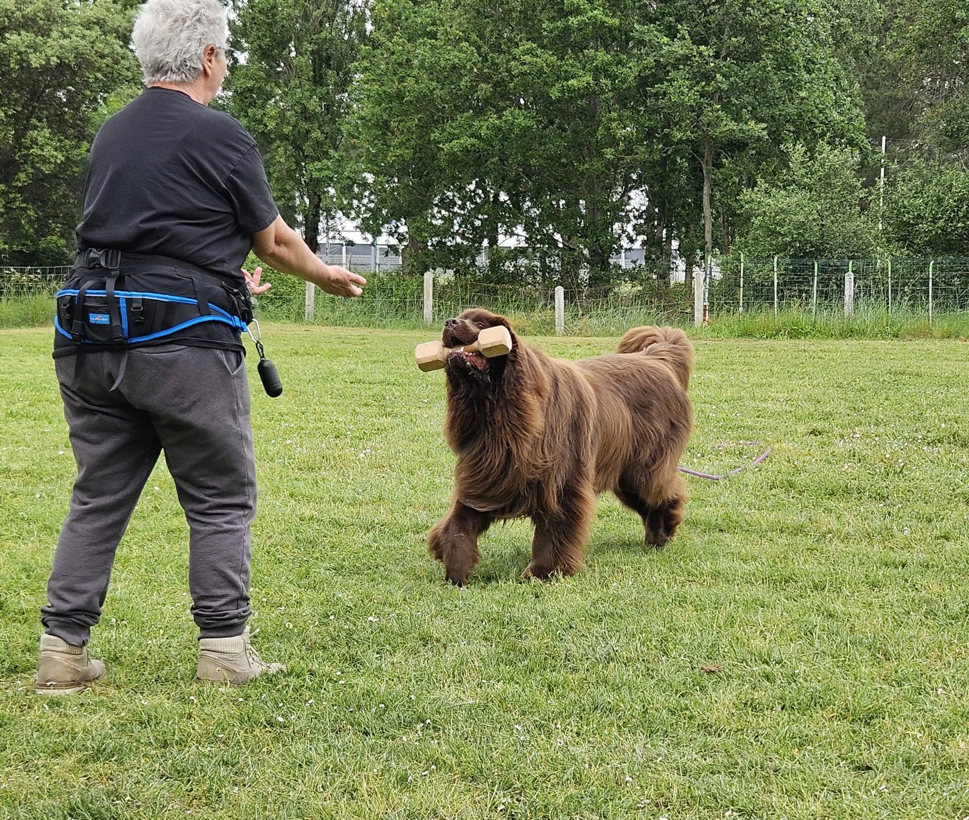 Rapport d objet tika