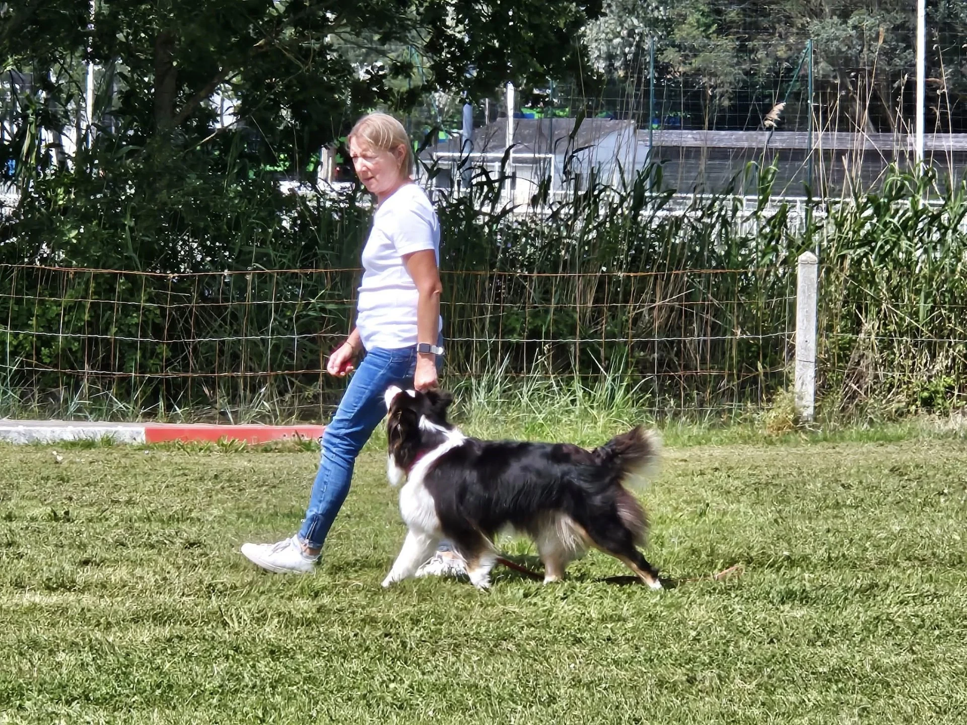 Thérèse et Serena 1Préparation Brevet d'Obéissance 