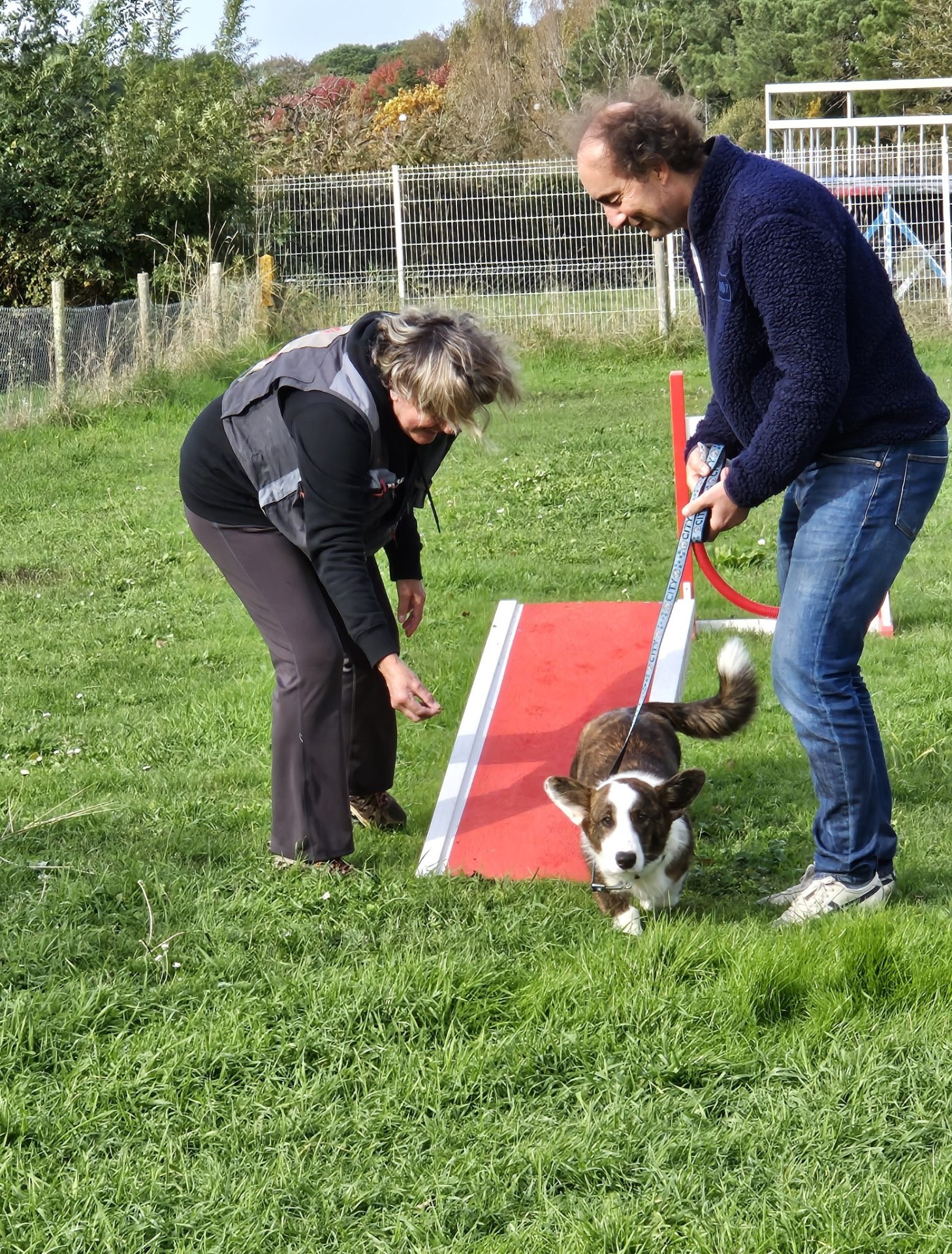 Club Canin Brévinois Virgile école des chiots 