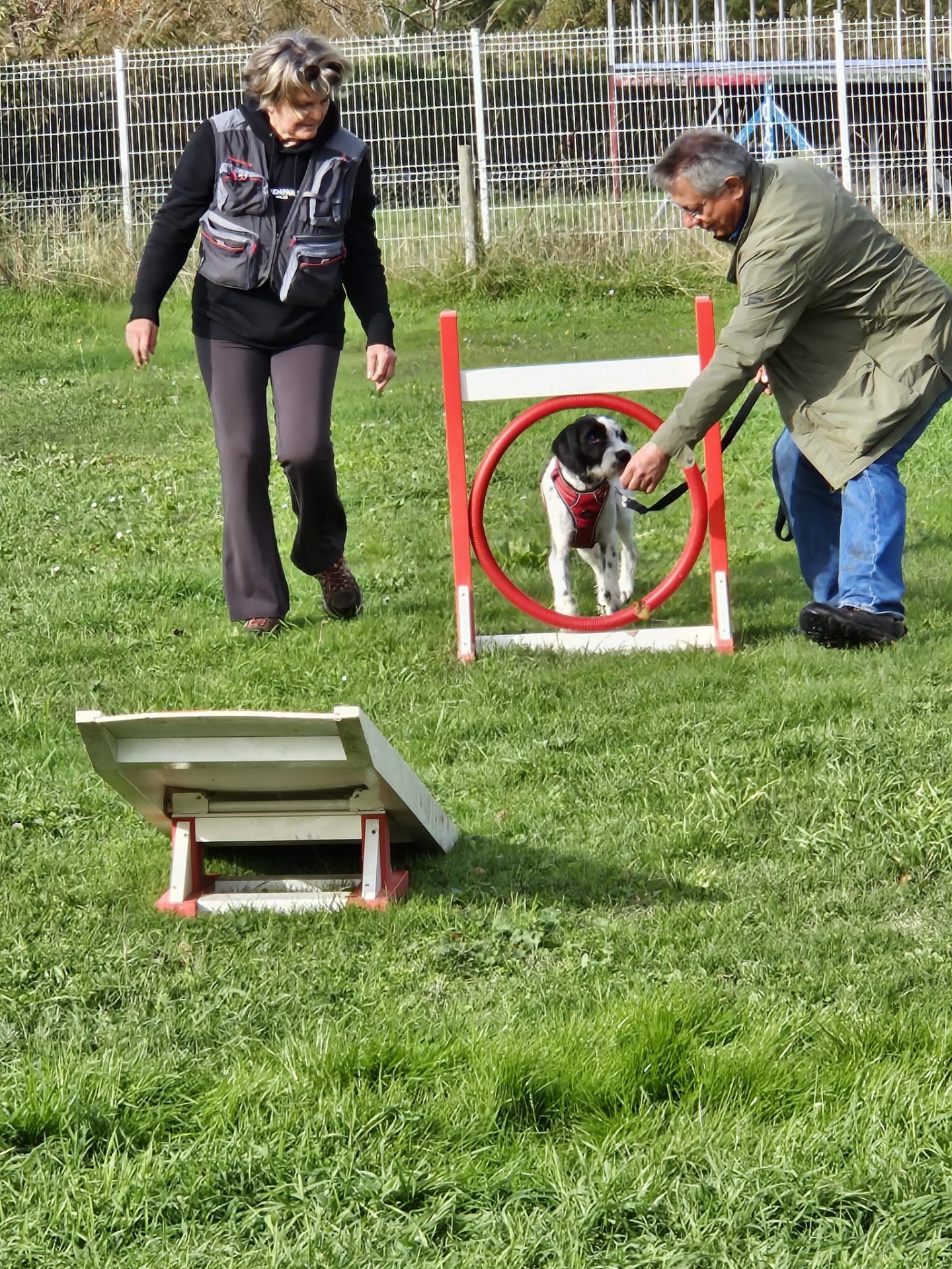 Club Canin Brévinois Voltaire école des chiots 