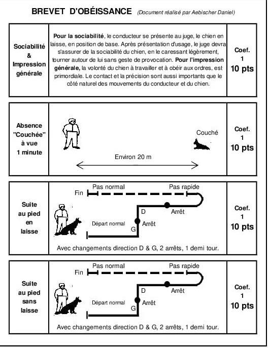 Brevet obeissance 2