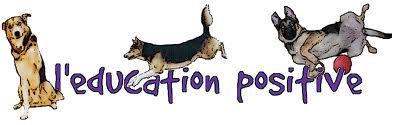 Education canine positive